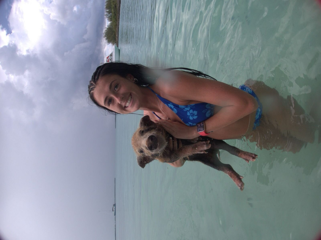 Valentine's Dive Center-哈勃岛必去景点