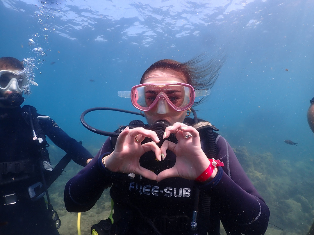 Diver Bees Dive Center-库萨达斯必去景点