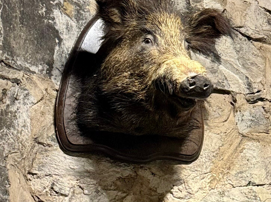 Neidpath Castle-皮布尔斯必去景点