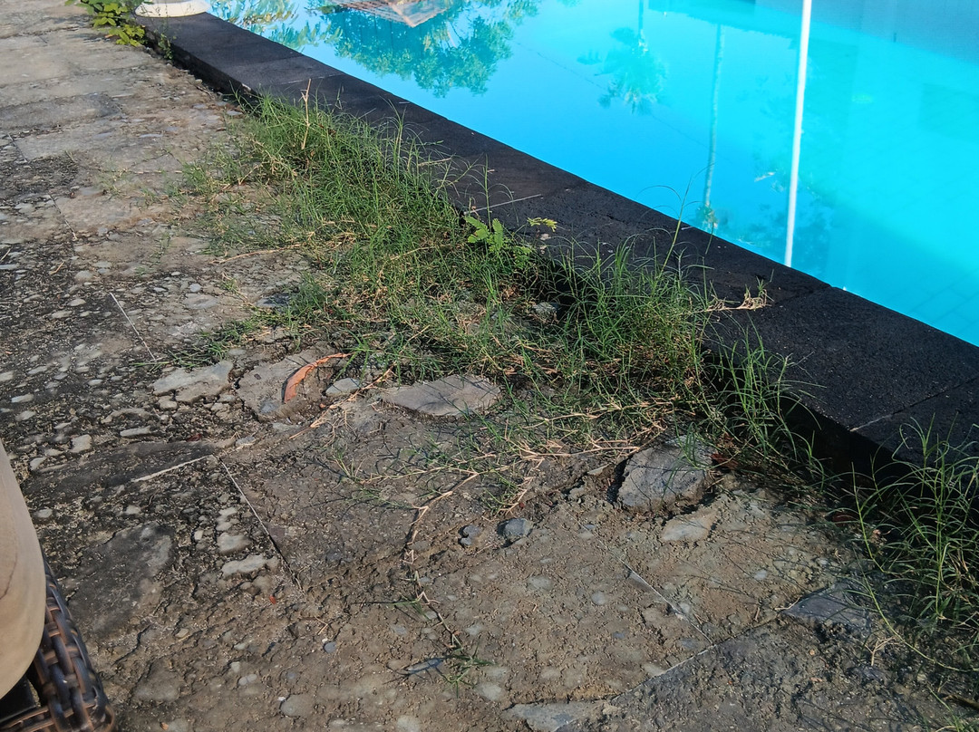 蓝海浮潜中心-Gili Air必去景点