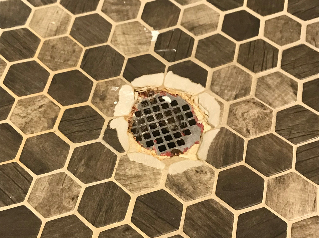 Warm Mineral Springs Motel主图