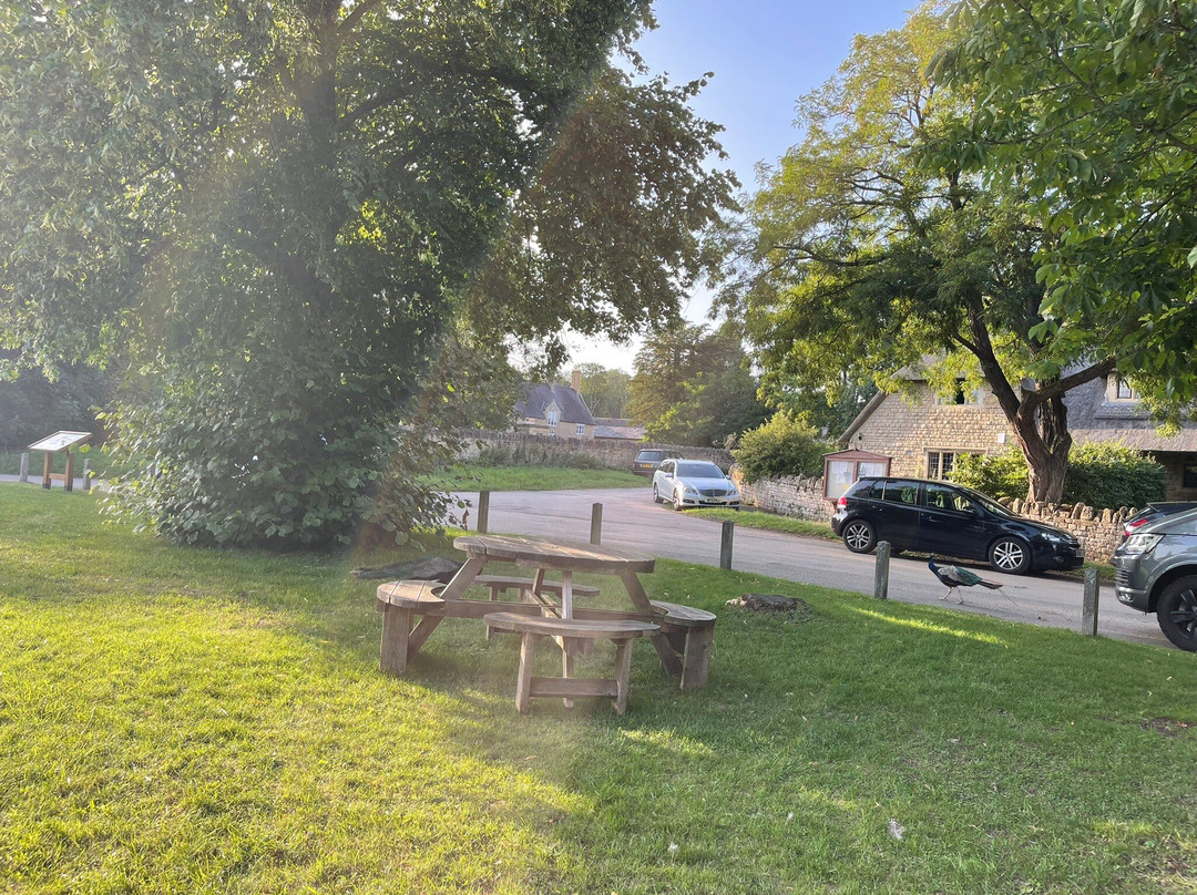 The Chequered Skipper