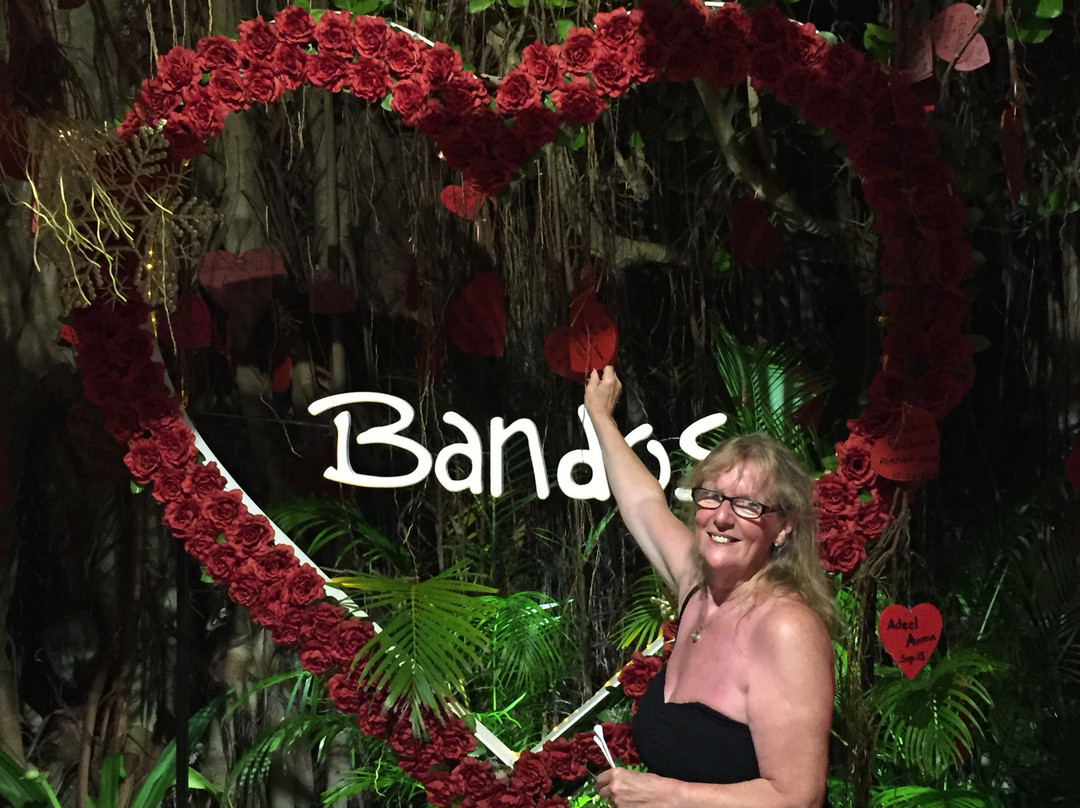 班多斯岛度假村主图