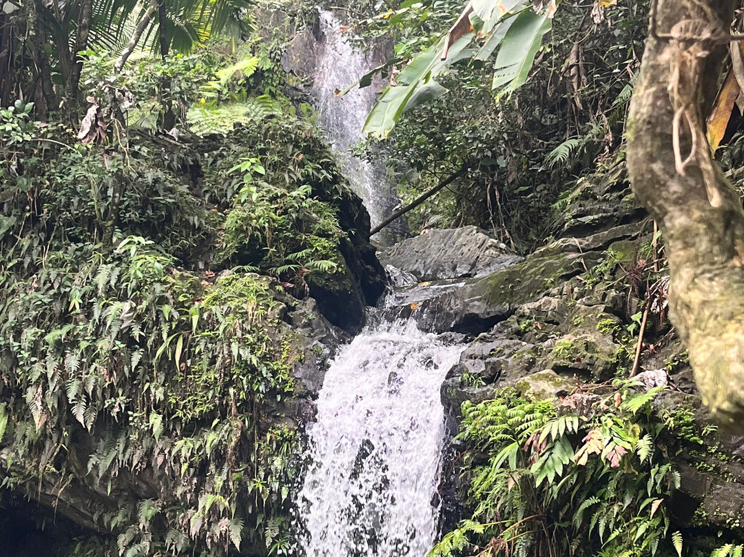 Catarata Gozalandia-San Sebastian必去景点