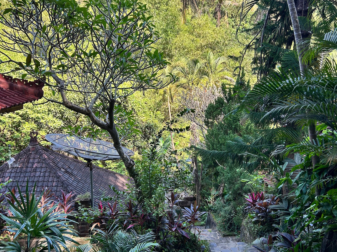 彭杜克旅游格亚纱丽酒店主图