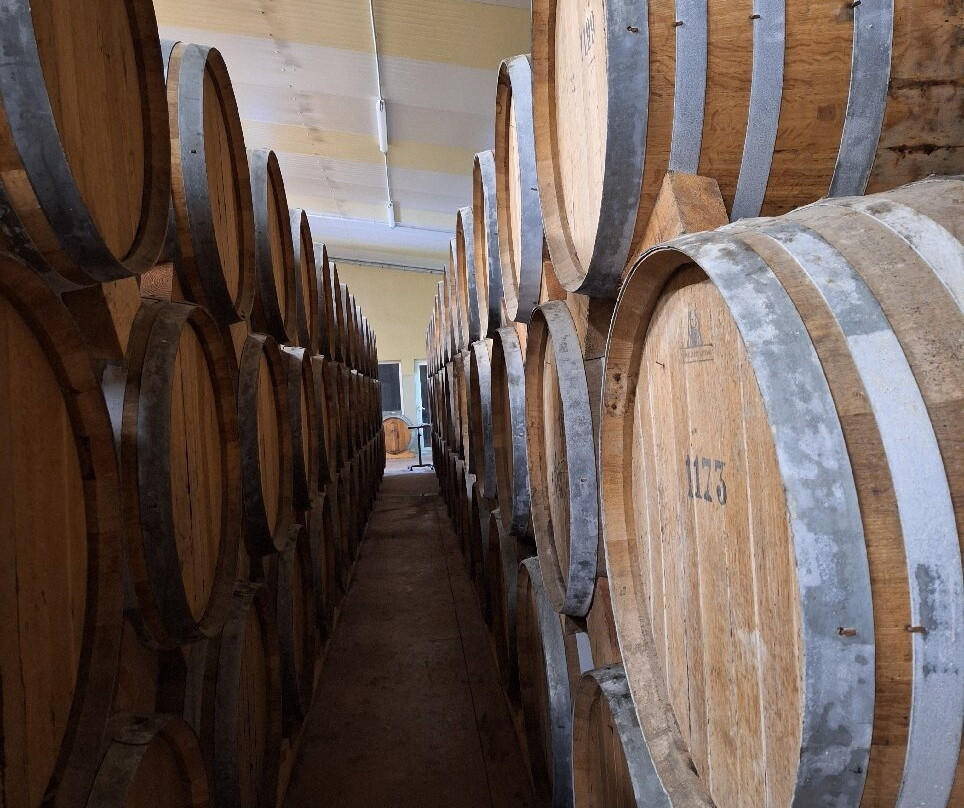 Les Caves Jules Gautret-Saint Sulpice de Royan必去景点