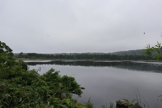 Otatomari Swamp-利尻富士町必去景点