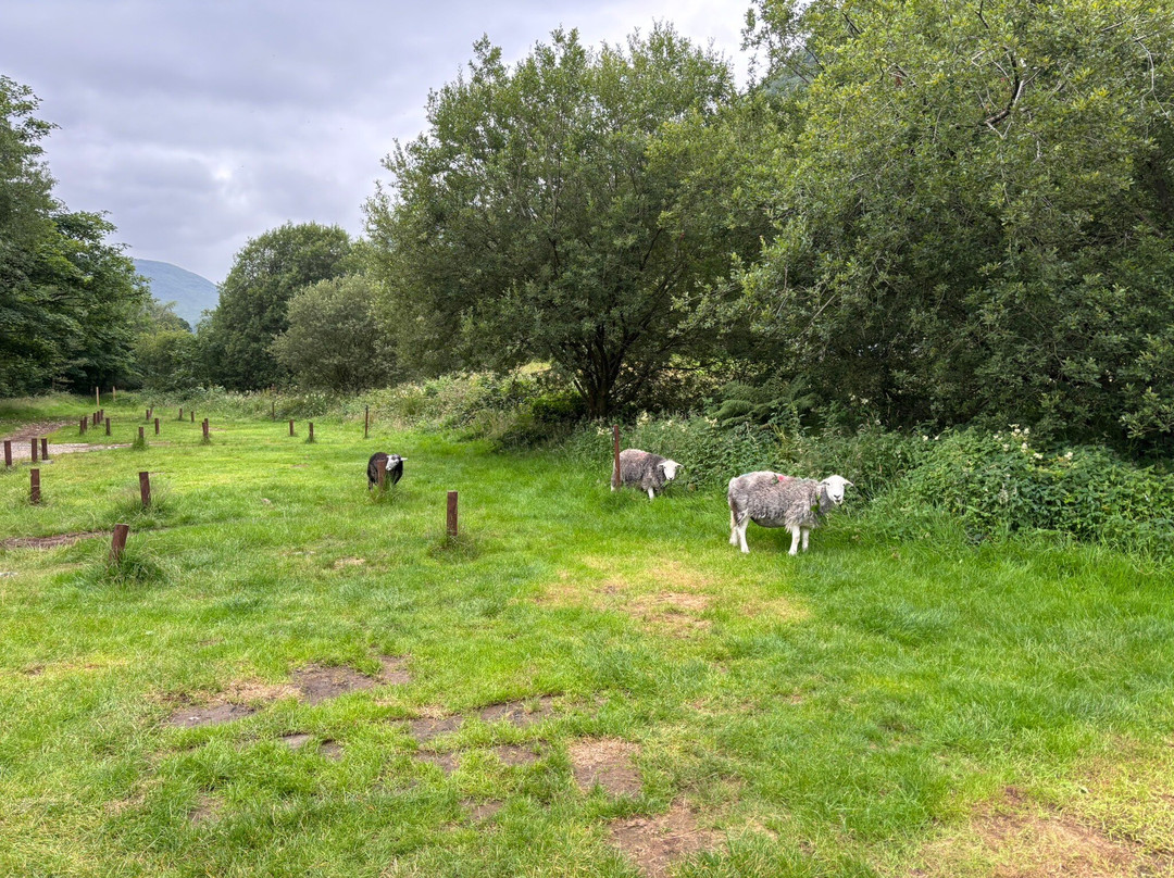 Seatoller Farm B&B主图