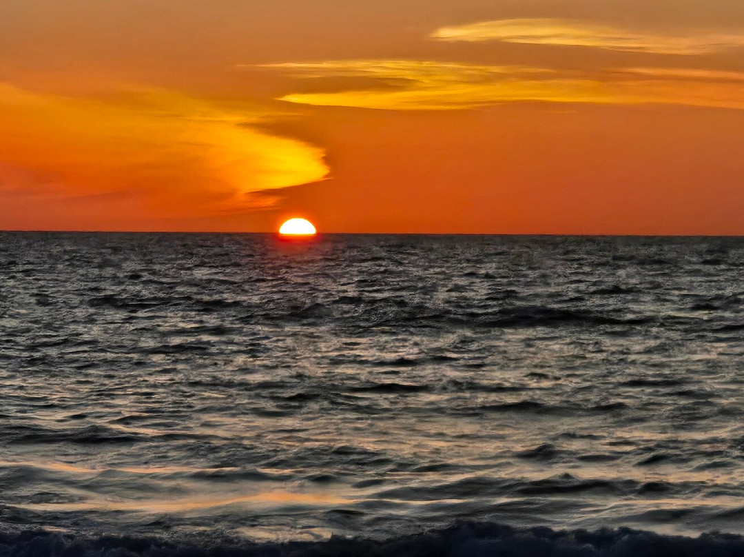 Indian Rocks Beach Nature Preserve-Indian Rocks Beach必去景点