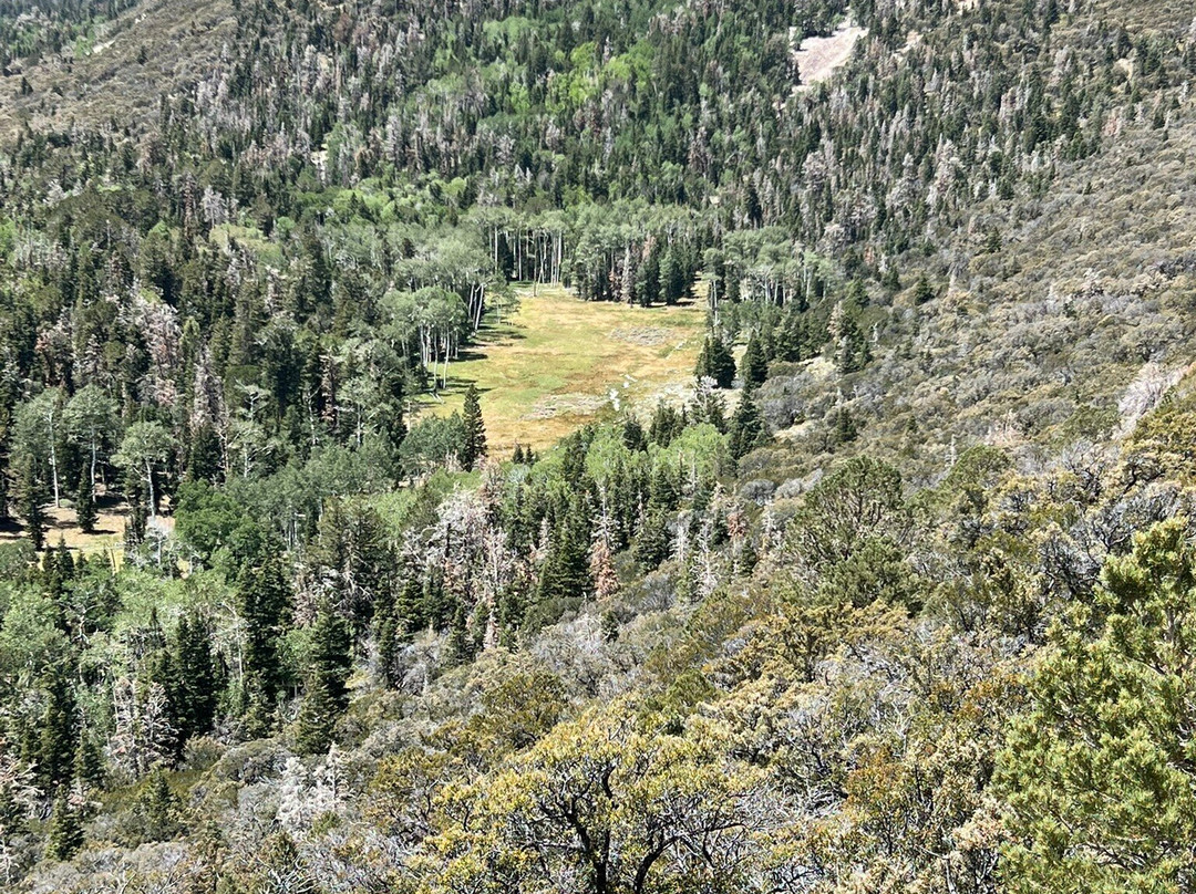 Lehman Caves Visitor Center-Baker必去景点