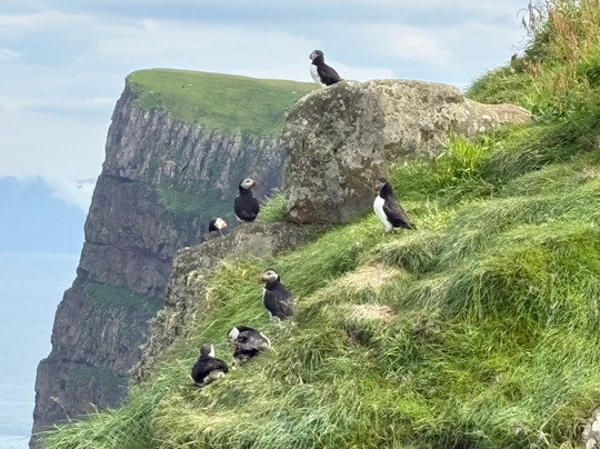 Isleborn Tours-Vestmanna必去景点
