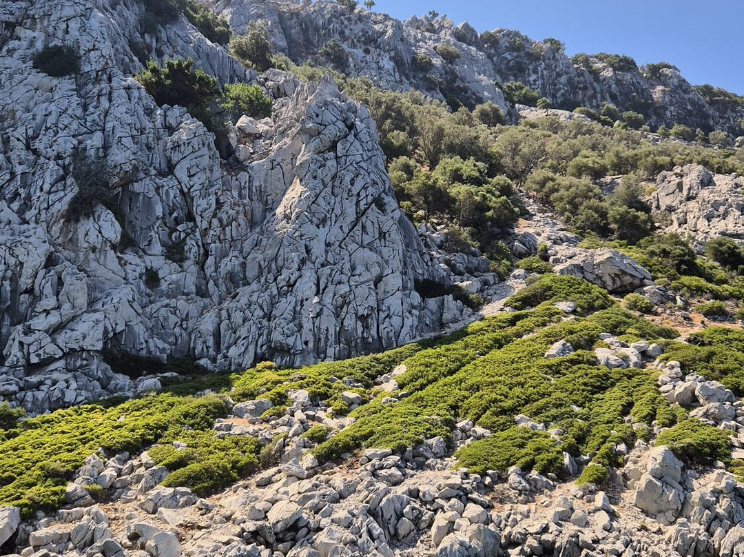 Selimiye Tekne Turu Safak Bey-1-塞利米耶必去景点