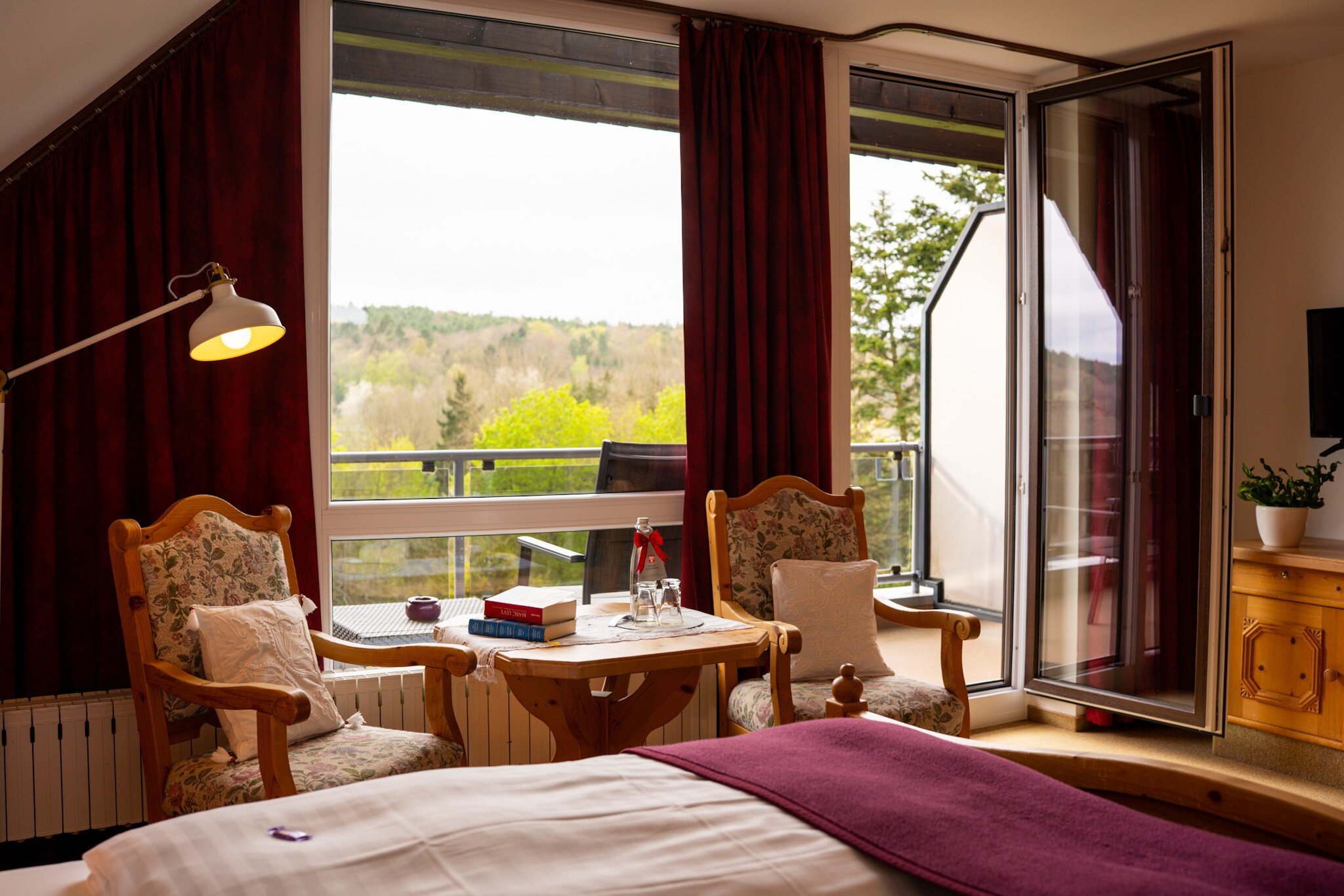 Landhotel Hubertus-客卧