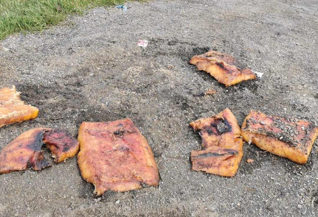 Barrow Beach-巴罗必去景点