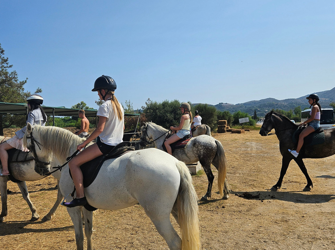 Happy Horses-扎金索斯必去景点