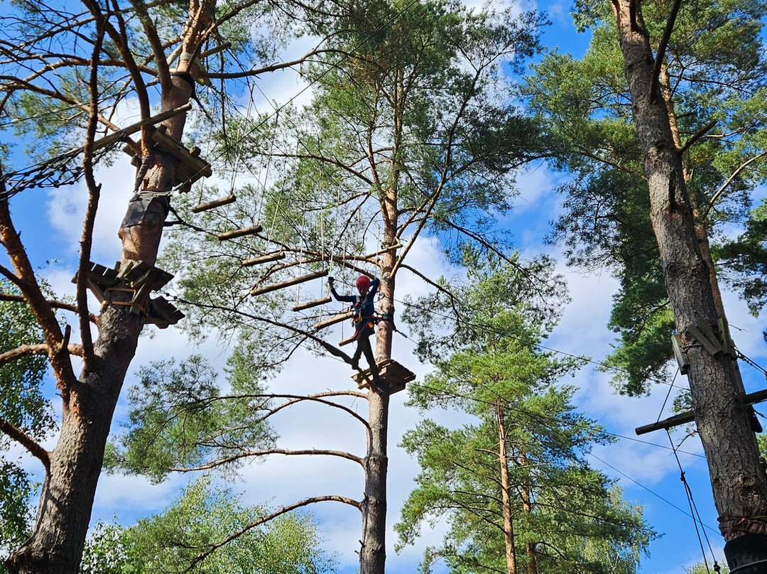 Multilevel Ziplines & Klätterpark-Hassleholm必去景点