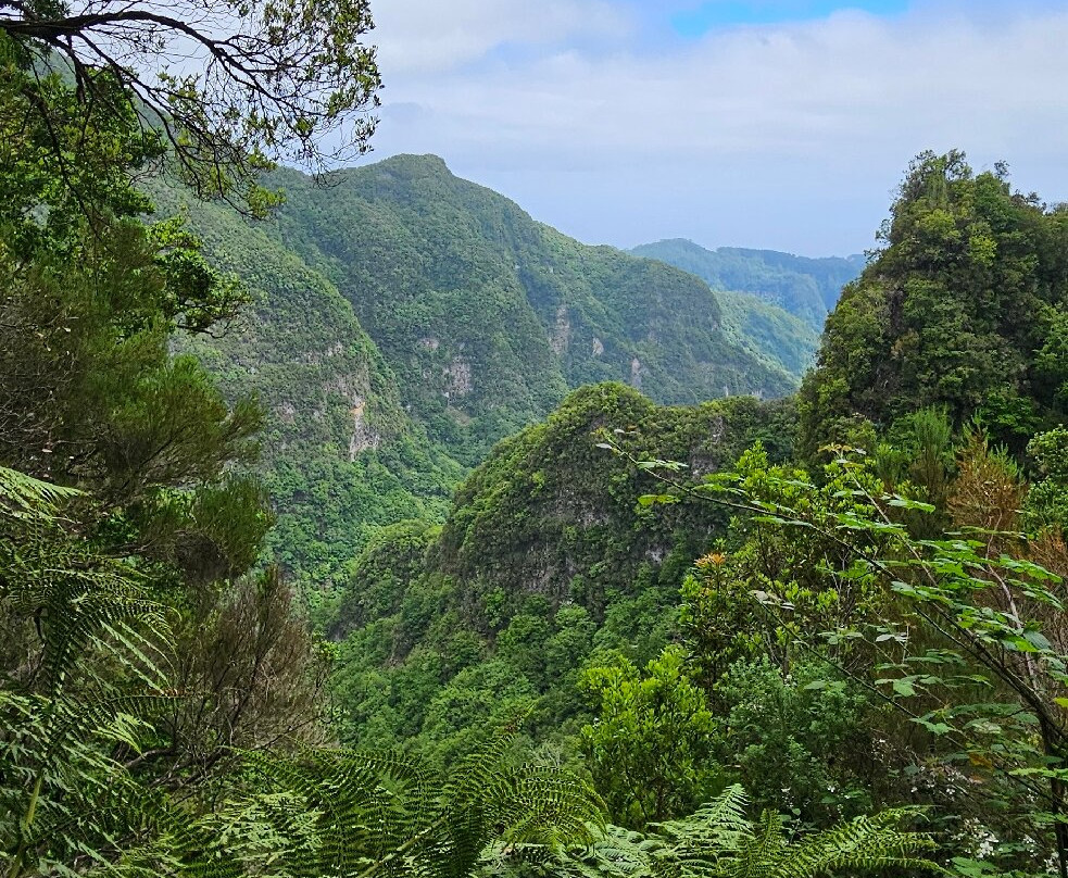 Levada Do Caldeirao Verde-Santana必去景点