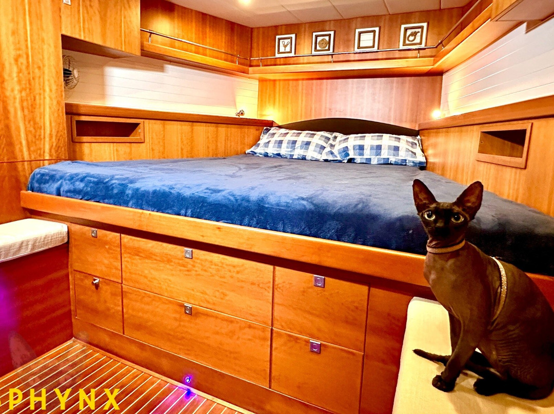 Sphynx BCN-巴塞罗那必去景点