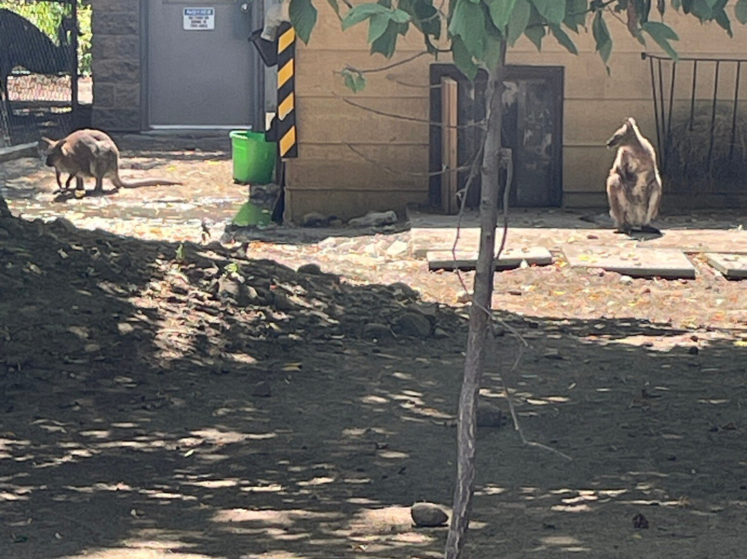 Riverview Park & Zoo-彼得伯勒必去景点