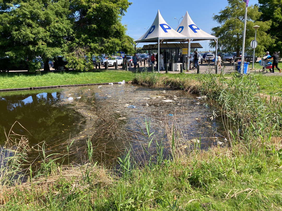 De Bazaar-贝弗韦克必去景点