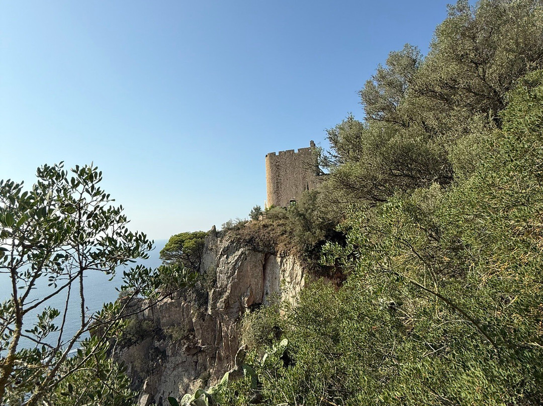 El Far Hotel Restaurant主图