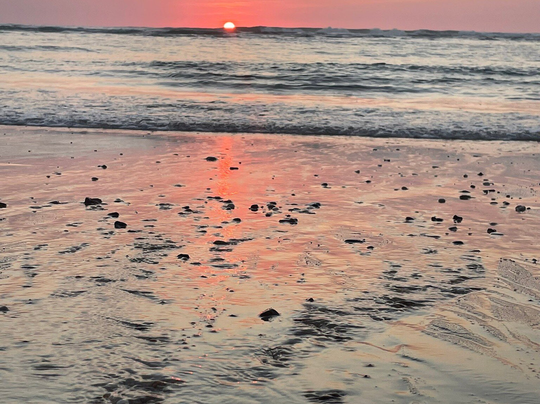 Plage de Moliets-Moliets et Maa必去景点