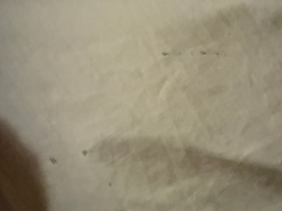 LOGE Alta Crystal主图