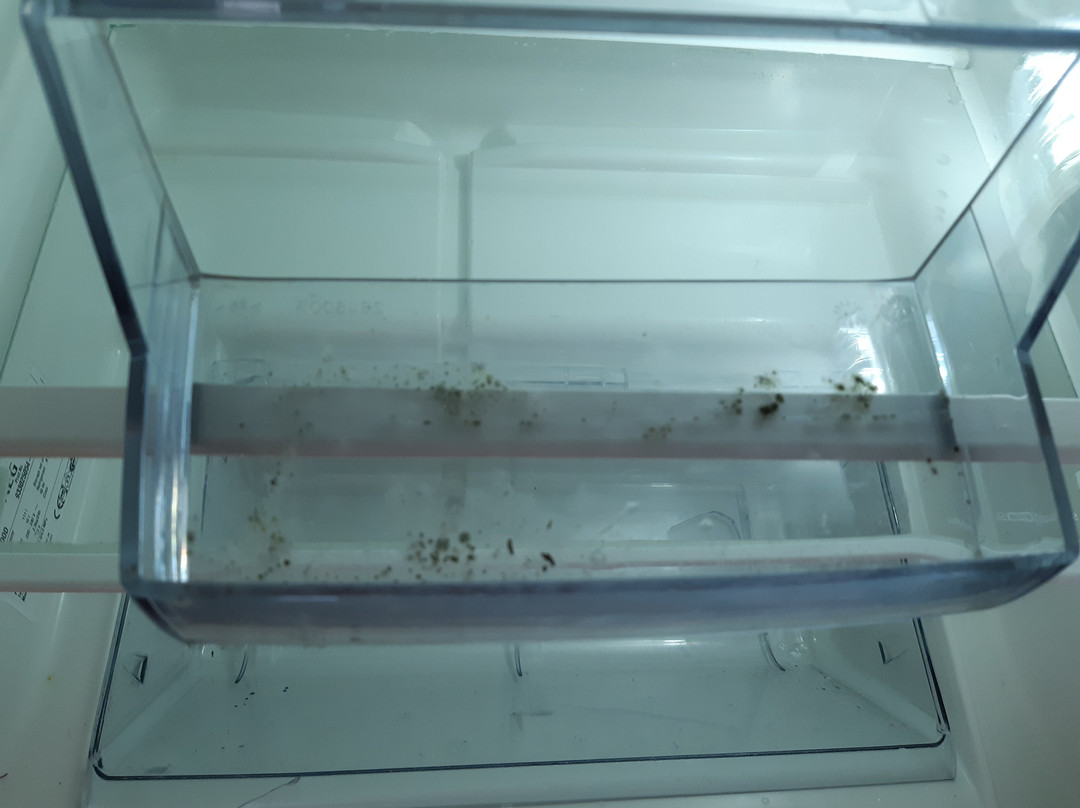 Hotel Klosterbraeustuben主图