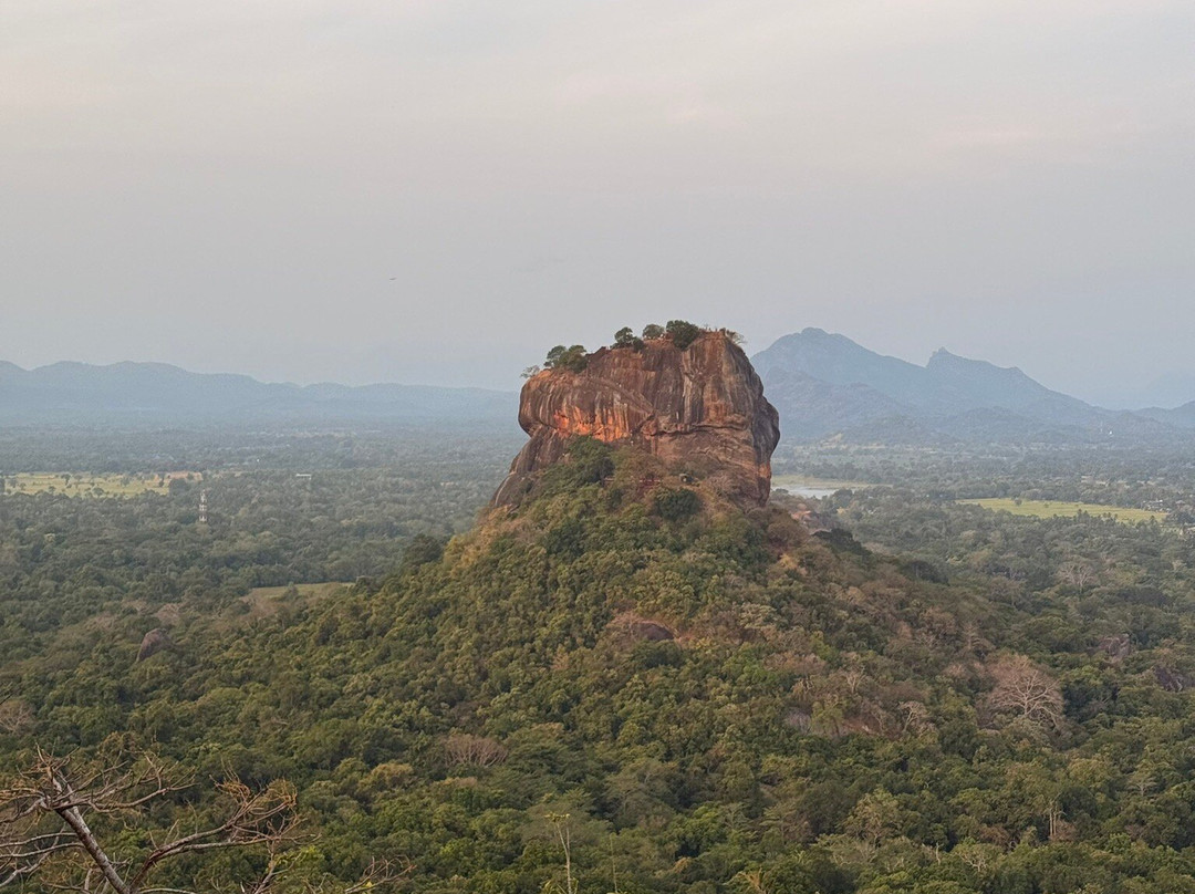 Nilanka Manjula withanage-尼甘布必去景点