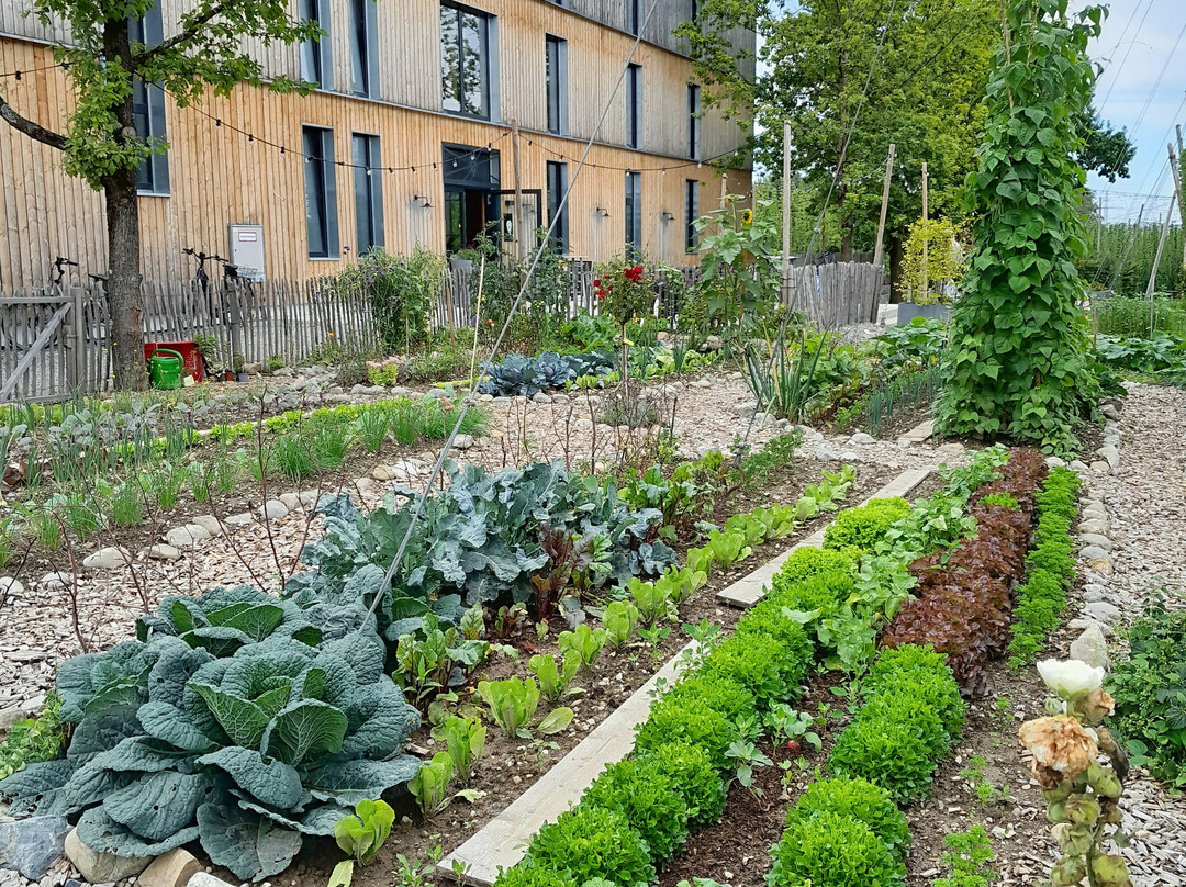 Hopfengut N°20-Tettnang必去景点