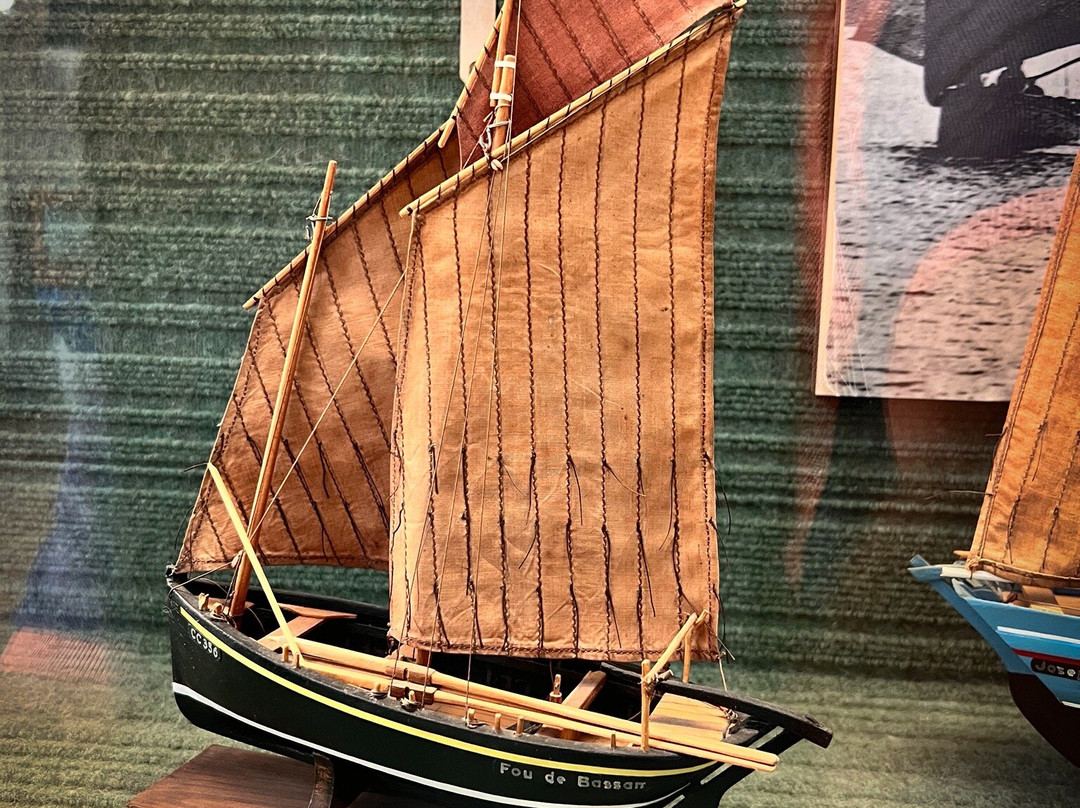 Musee de la Peche-孔卡尔诺必去景点