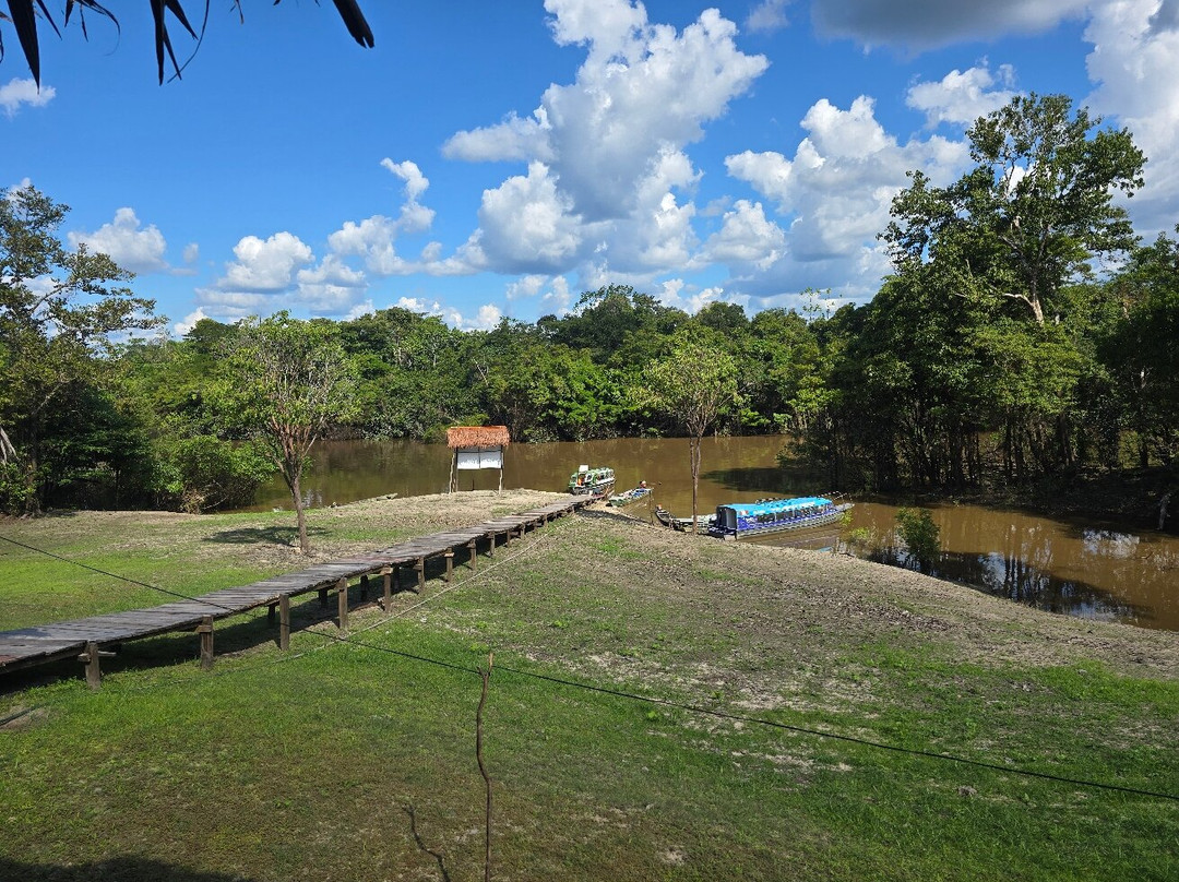 Amazon Wildlife Adventures