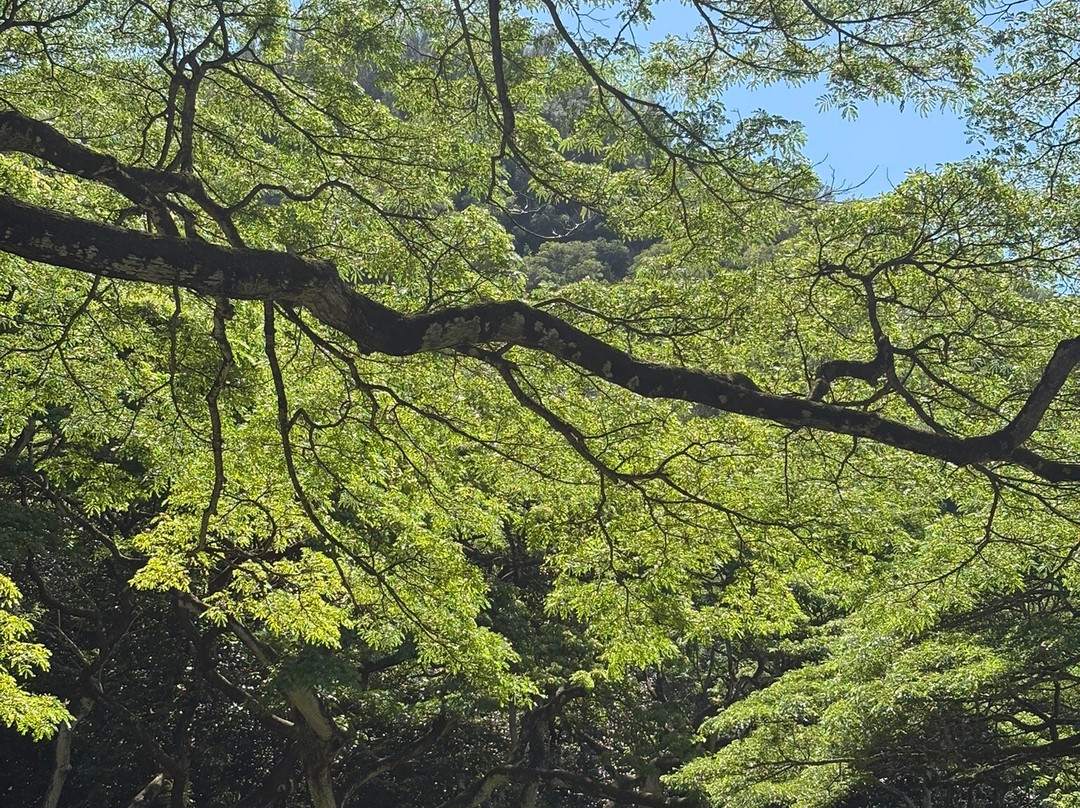 Waimea Falls-Pupukea必去景点