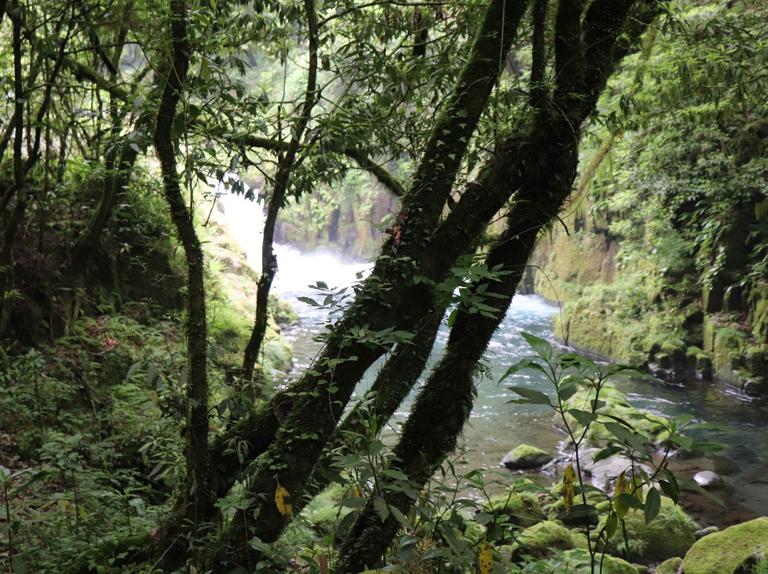 Kikuchi Gorge-菊池市必去景点