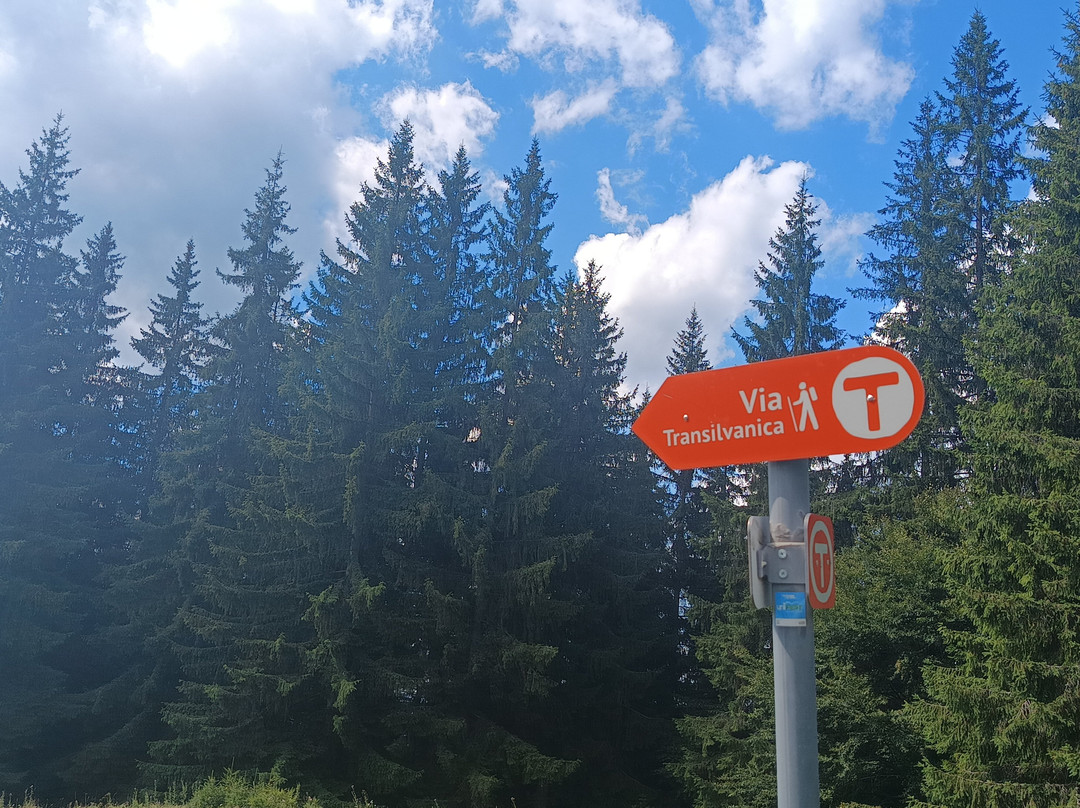 Via Transilvanica-Piatra Fantanele必去景点