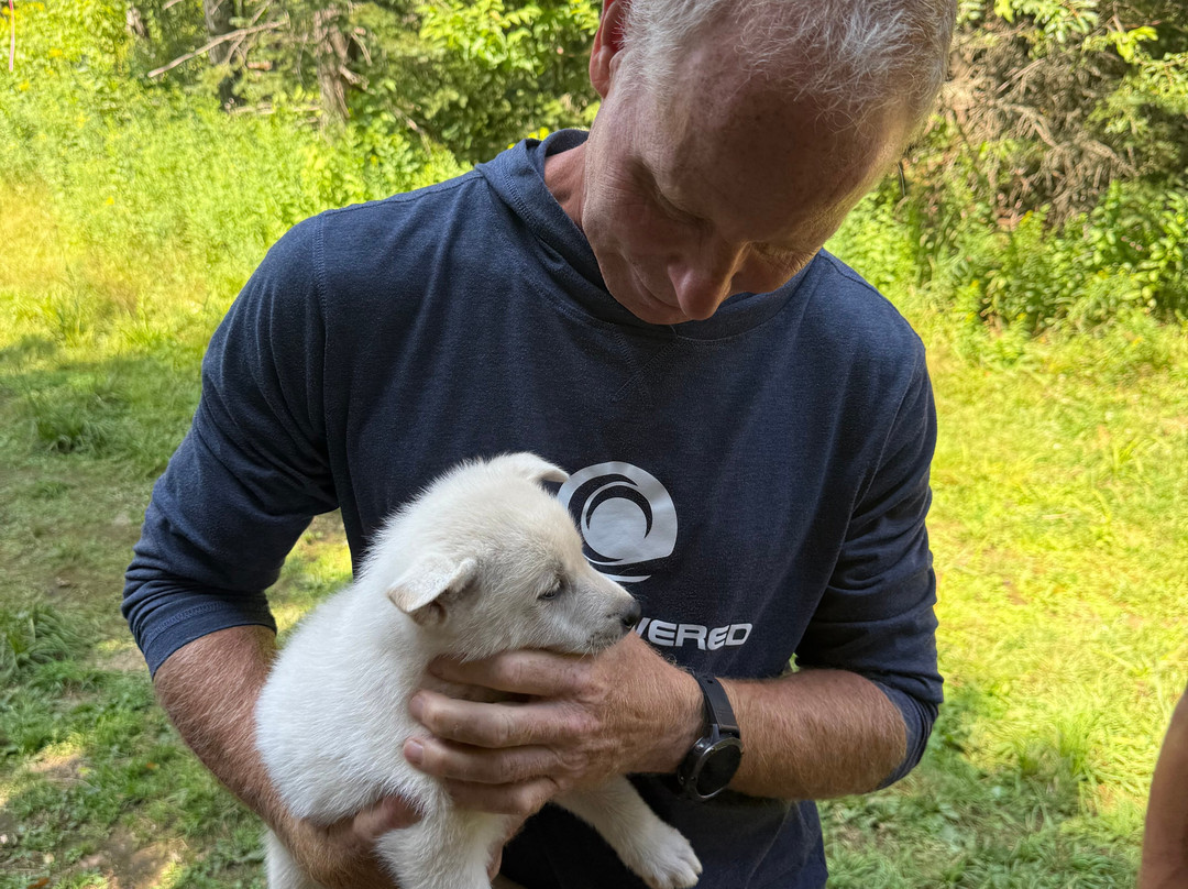 Aventures Nord-Bec-Stoneham-et-Tewkesbury必去景点