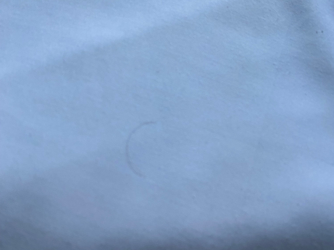 亨德里克特克塞尔王子酒店主图