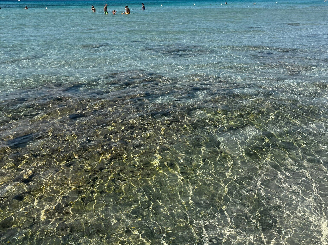 B&b Sogno Salentino主图