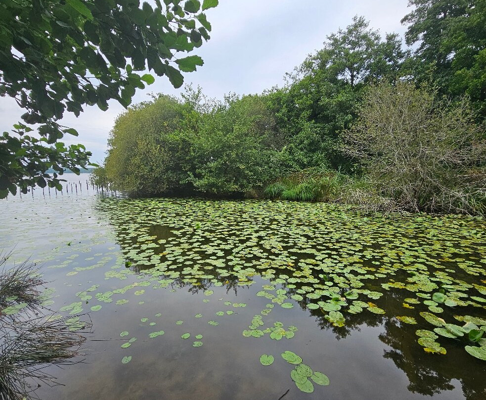 Lac de Léon-Leon必去景点