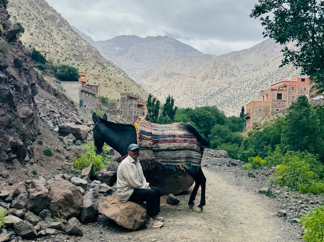 Trek Atlas-伊姆利勒必去景点