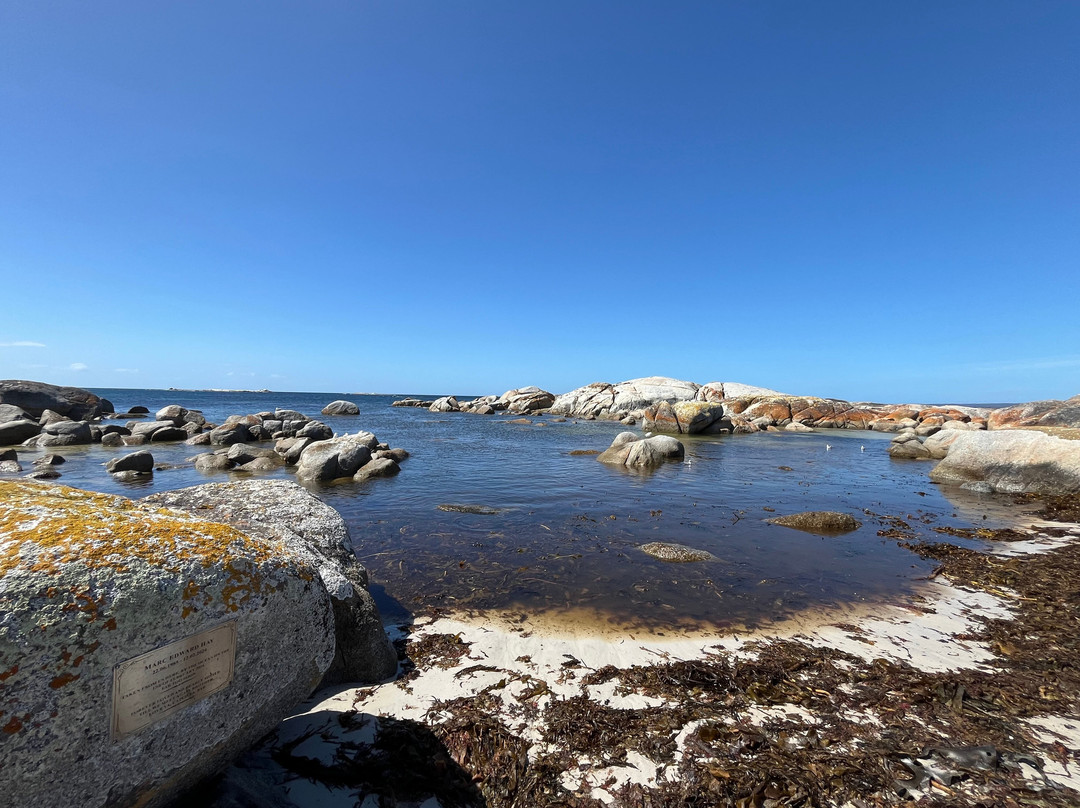 The Gardens-Binalong Bay必去景点