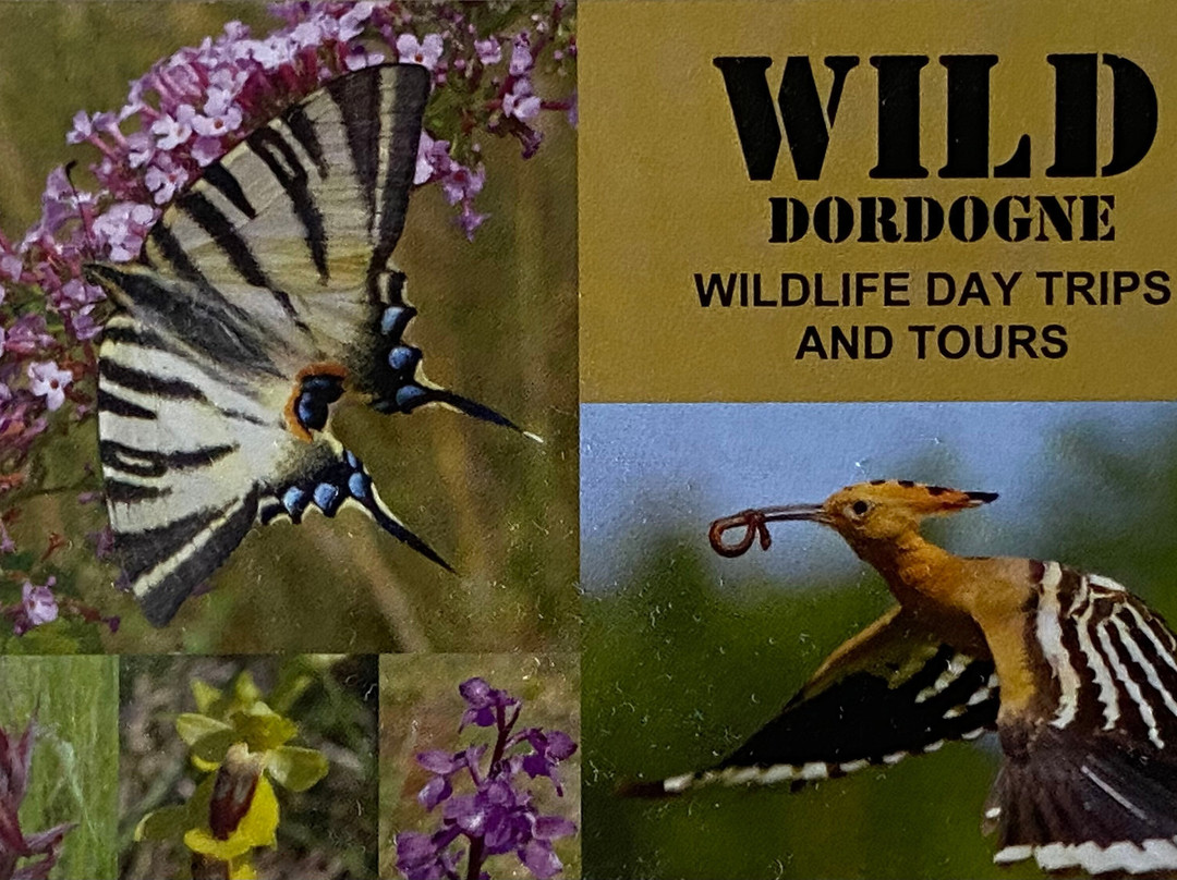 Birdwatching & Nature walks in Dordogne (Wild Dordogne)