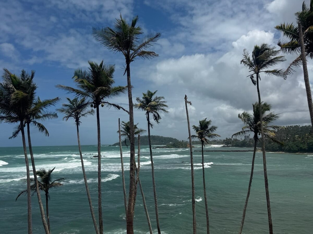 Absolute Lanka Tours-科伦坡必去景点