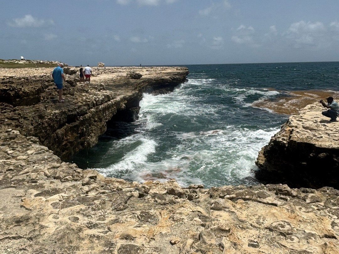 Sweet Wadadli Jungle Rides-Buckleys必去景点