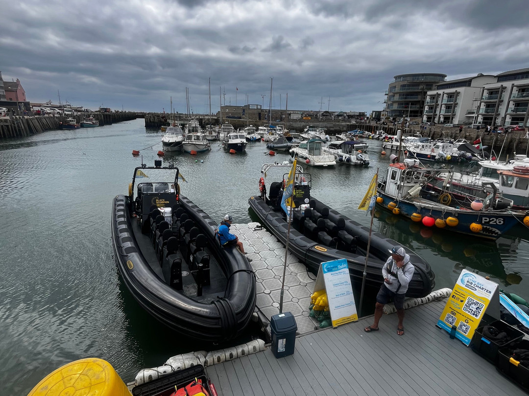 Lyme Bay Rib Charter-West Bay必去景点