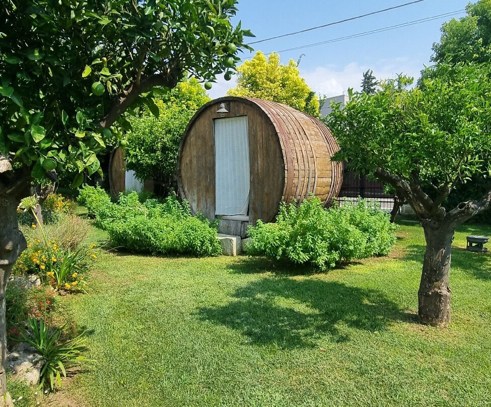 Nohasi Palace Hotel & SPA主图