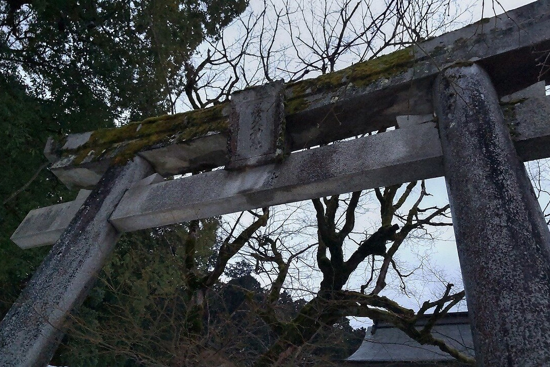 Yabu Shrine-养父市必去景点