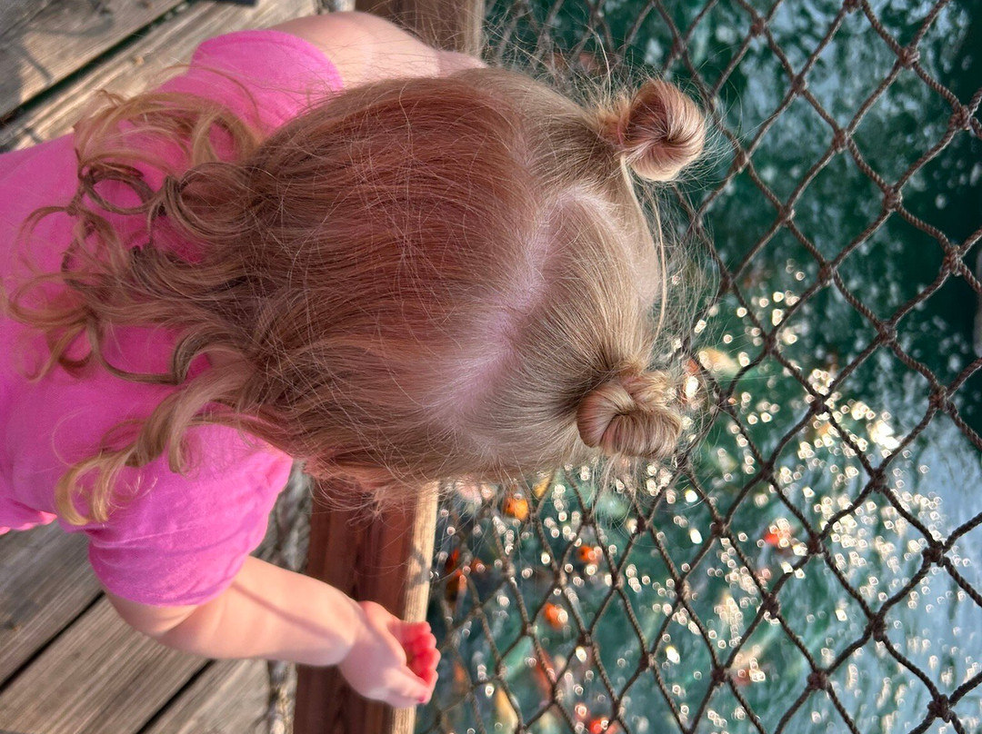 Pirate's Cove Adventure Golf-欧塞奇比奇必去景点