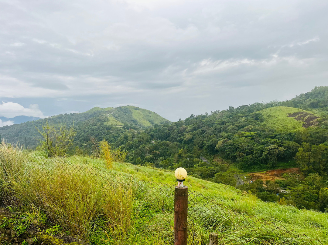 Pagoda Plantation Resort