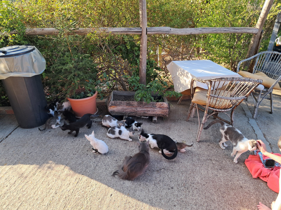 Agriturismo Ruralia主图